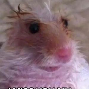 Meet your Posher, Ibetchi